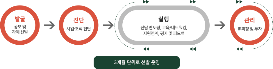 액셀러레이팅 운영 프로세스 — 발굴, 진단, 실행, 관리 (3개월 단위로 선발 운영)